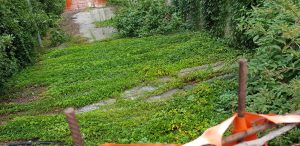 Bicocca e Quartiere Nord: «Sicurezza e cura del verde»