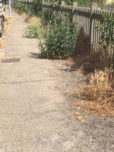 Bicocca e Quartiere Nord: «Sicurezza e cura del verde»