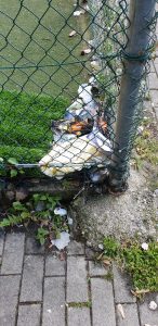 Bicocca e Quartiere Nord: «Sicurezza e cura del verde»