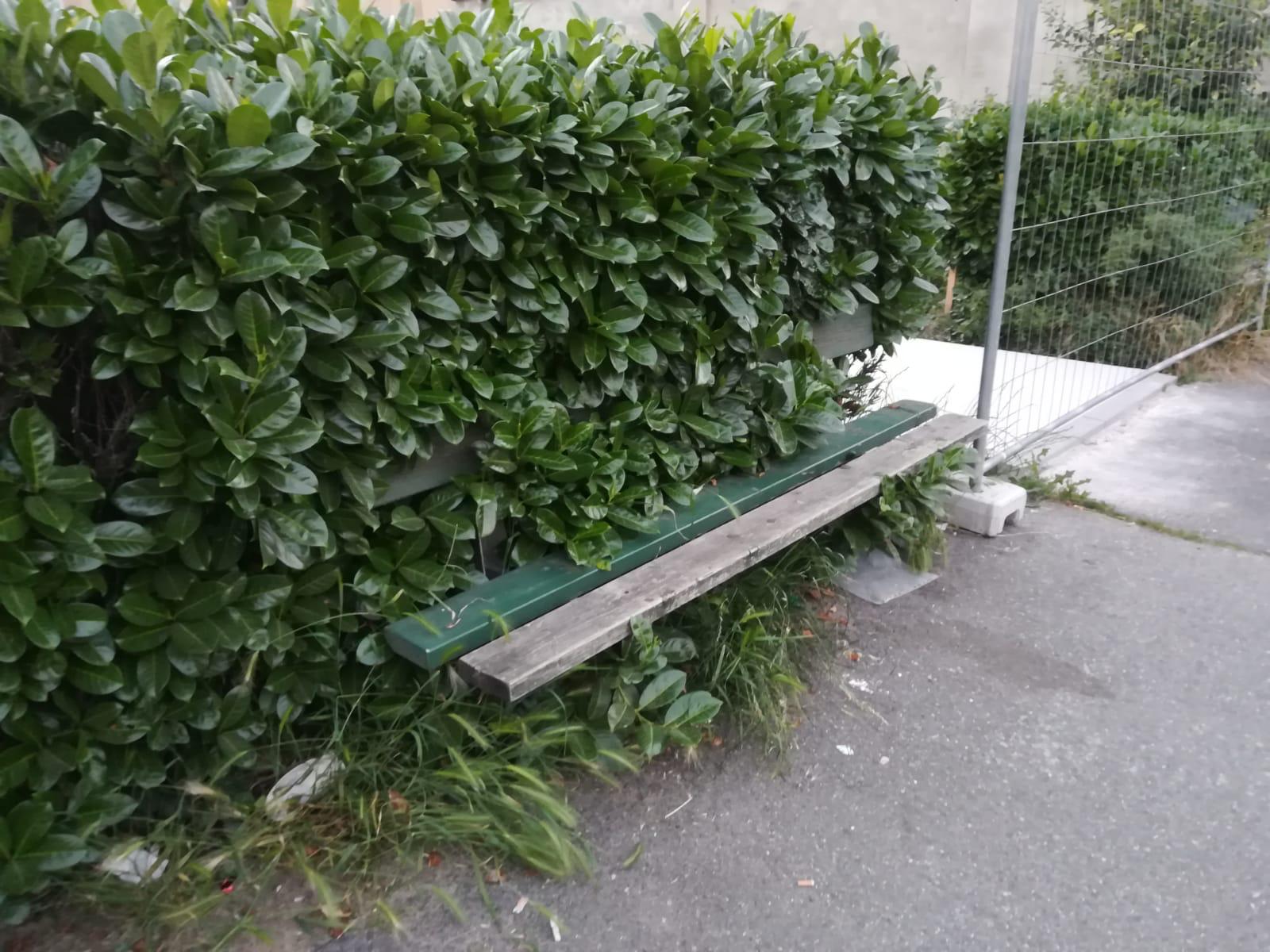 Novara, Comitati Spontanei Bicocca e Quartiere Nord: «Serve più manutenzione e cura del verde»
