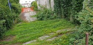 Bicocca e Quartiere Nord: «Sicurezza e cura del verde»