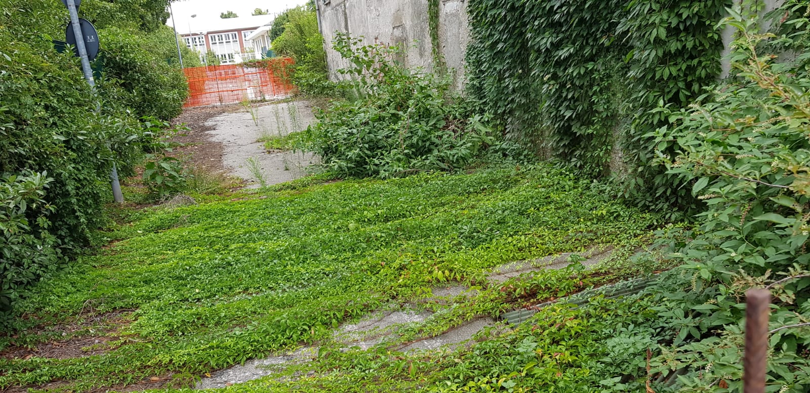 Bicocca e Quartiere Nord: «Sicurezza e cura del verde»