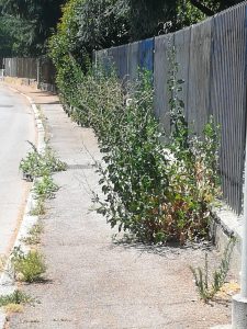 Bicocca e Quartiere Nord: «Sicurezza e cura del verde»