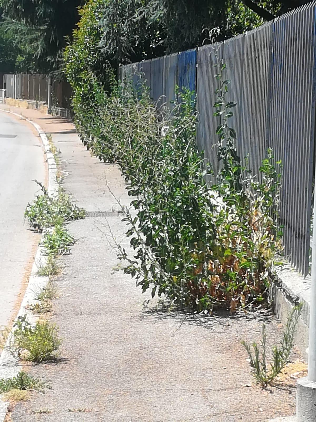 Bicocca e Quartiere Nord: «Sicurezza e cura del verde»