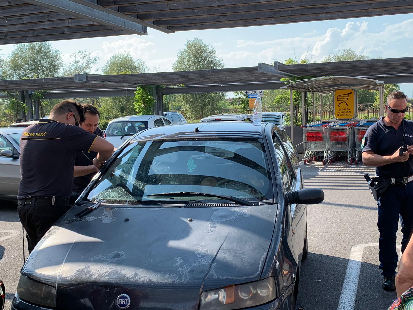 Novara: cane chiuso in auto sotto il sole, liberato da Vigili del fuoco e Polizia locale