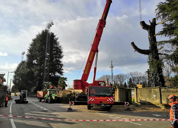 Piano sicurezza: allo stadio di Intra abbattuti sette alberi