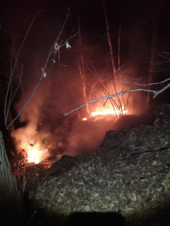 Incendio sulle alture del Mottarone