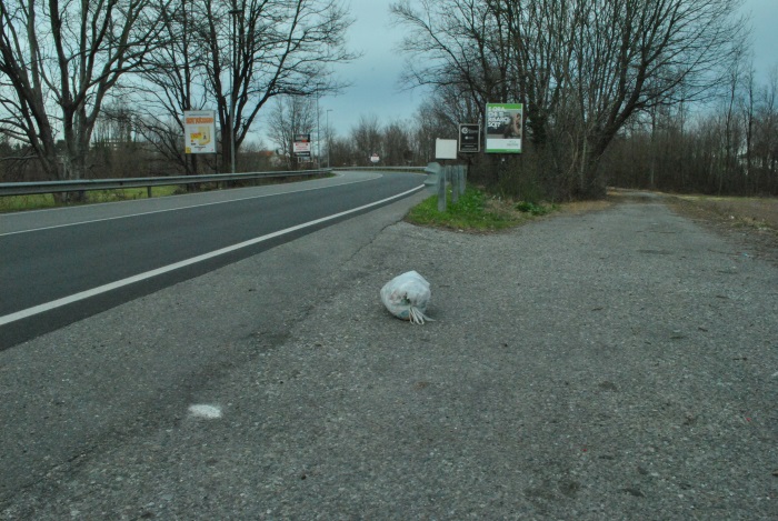 Borgomanero –  Abitudini che non demordono Rifiuti abbandonati e il quotidiano sacchetto in via Pertini