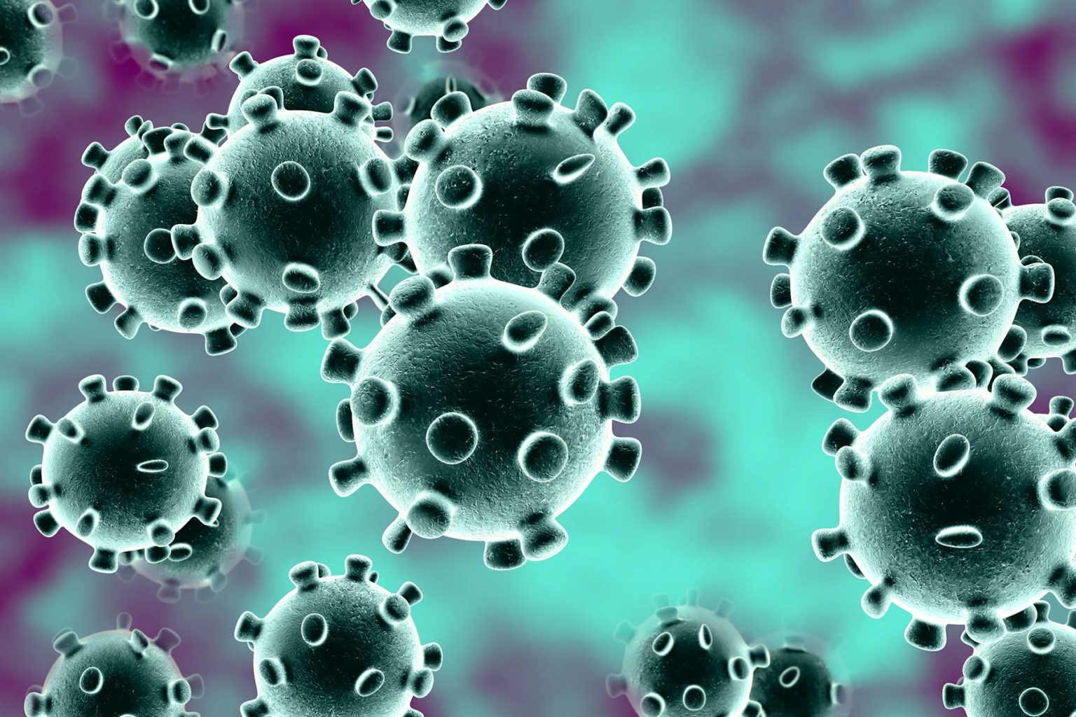 Coronvirus Novara, Vercelli VCO zona rossa: vite limitate, stop anche alle Messe