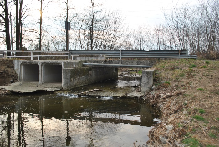 Borgomanero –  Prevenire le esondazioni: operazione pulizia alla Geola e alla Grua