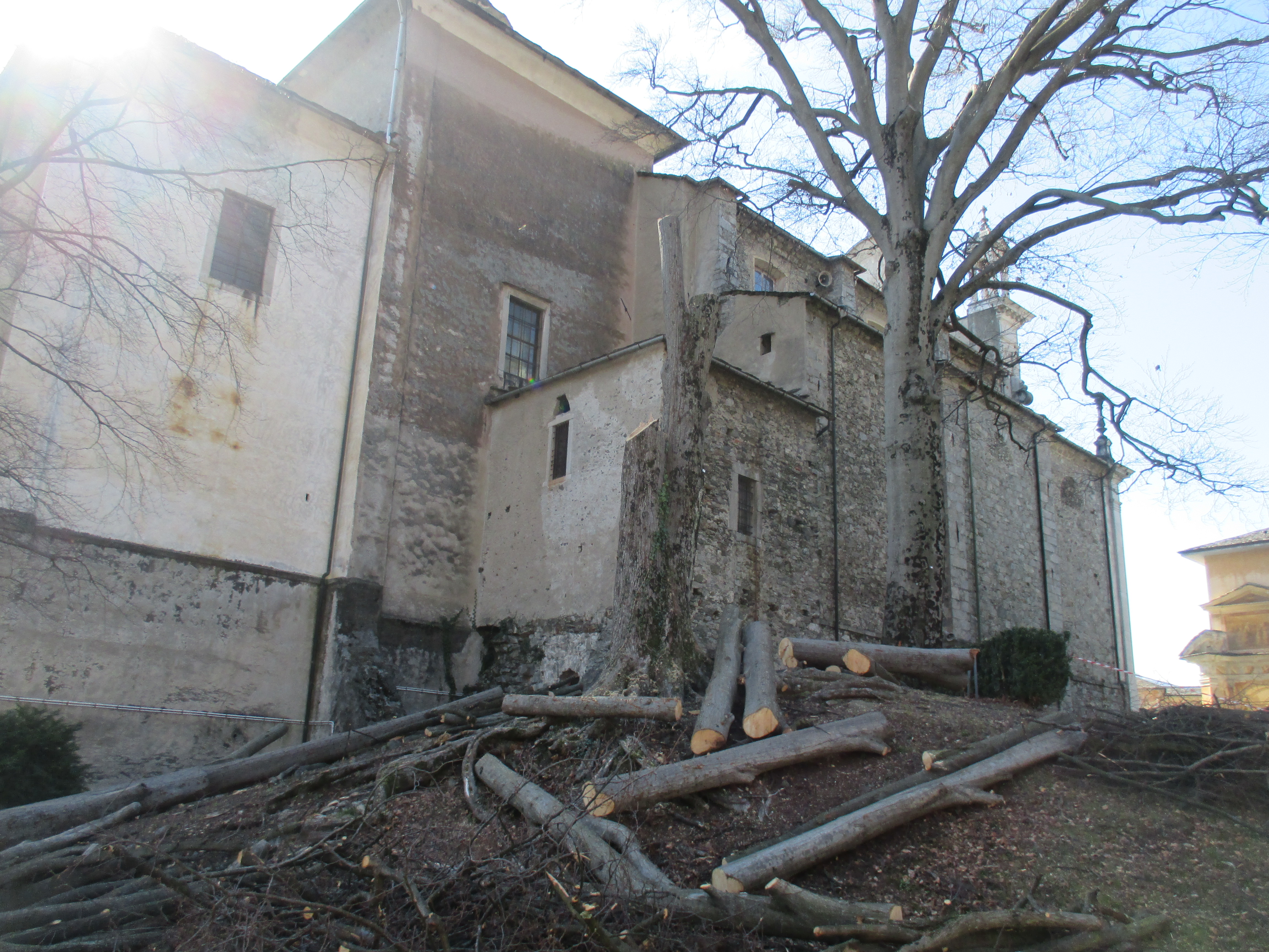 Varallo, taglio piante nel parco del Sacro Monte