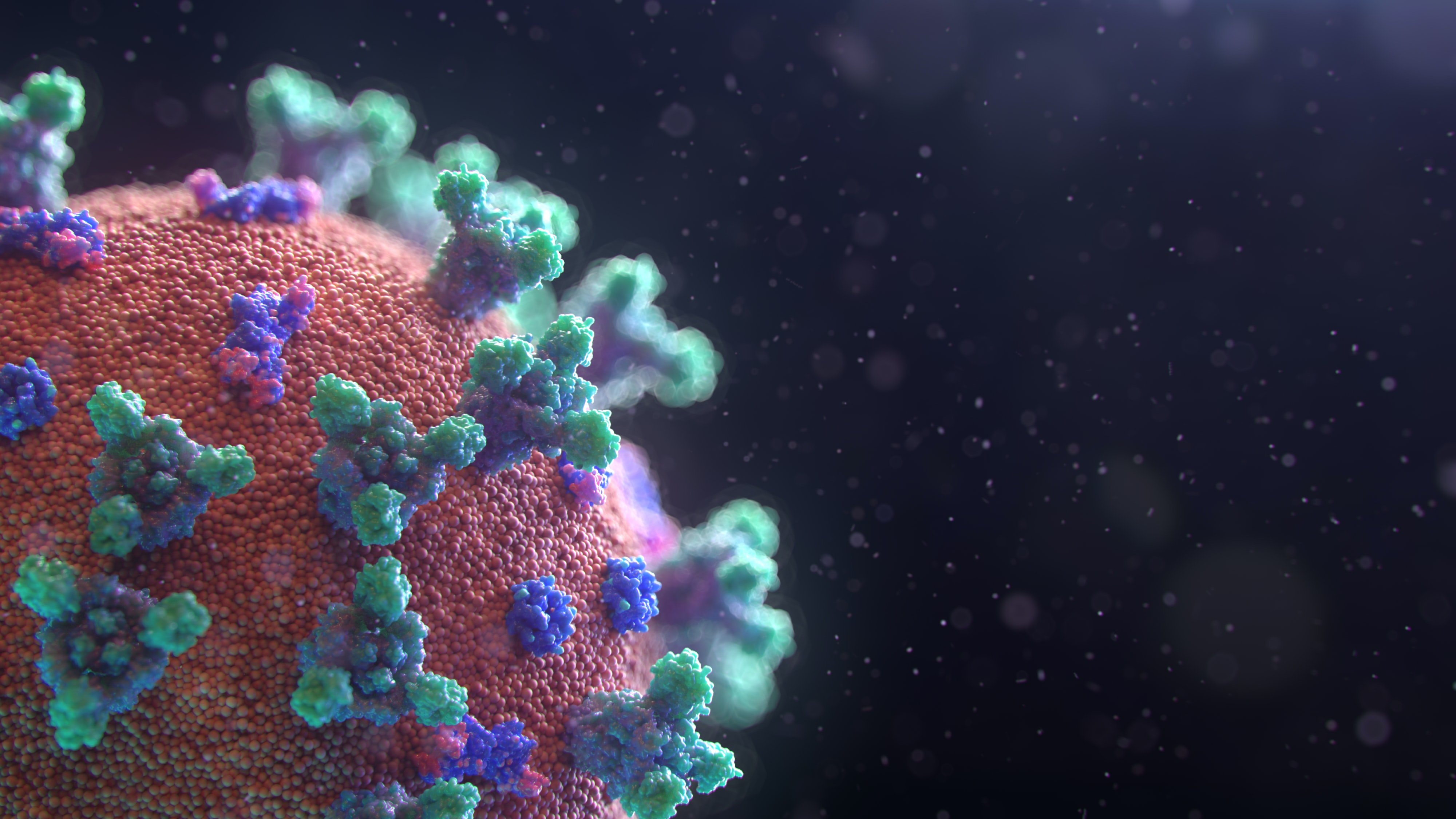 Il Coronavirus colpisce duro Novarese e VCO: crescite fino al 425% nei morti