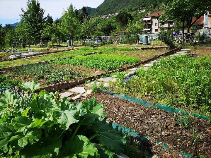 All’Oasi della Vita di Bagnella parte il progetto Orti Sociali e coronavirus