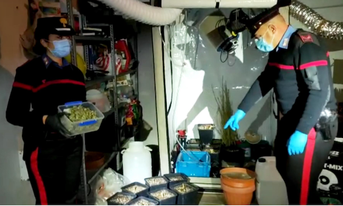Verbania, in un garage scoperta coltivazione di droga