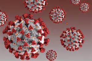 Cusio, Borgomanerese, Aronese e Valsesia Molti comuni con zero contagiati da coronavirus