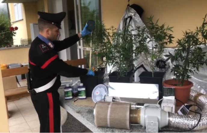 Piedimulera: in camera da letto aveva la serra per coltivare la droga