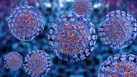 Coronavirus nel Vco Novara e Valsesia Situazione aggiornata a sabato 24 ottobre 2020