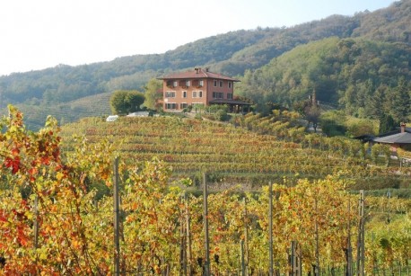 Astronomia e vini al Podere ai valloni di Boca