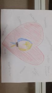 Disegno scout 4