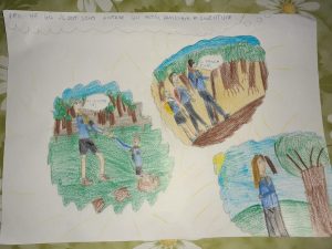 Disegno scout 7