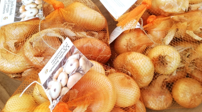 Una bionda di carattere