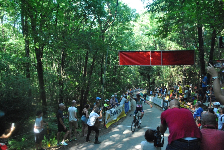 Ciclismo Il vicentino Matteo Zurlo ha vinto il 38° Trofeo Sportivi di Briga Novarese