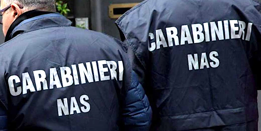 Escrementi di topi in cucina: i Nas di Torino chiudono ristorante orientale nel Novarese