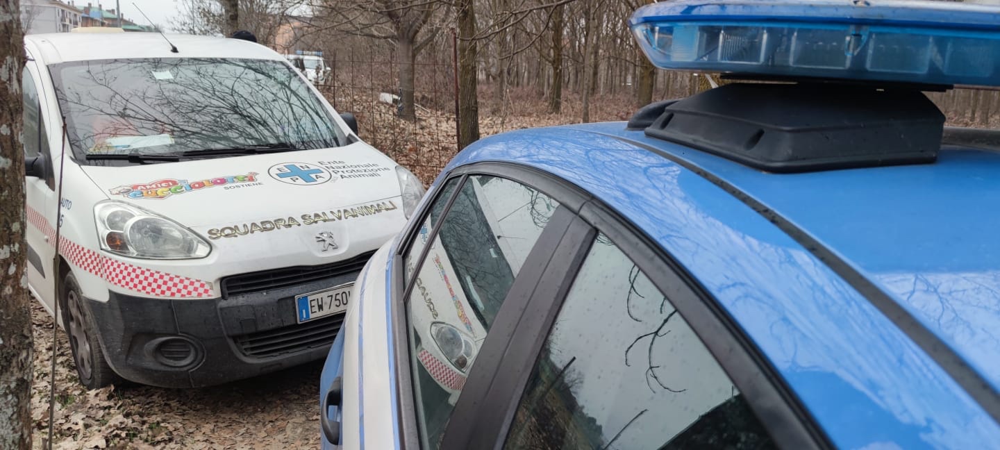 La Polizia salva tre cani e li affida al servizio veterinario Asl