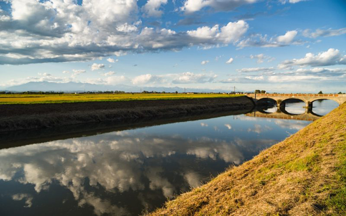 Servono infrastrutture per l’acqua altrimenti la risaia morirà di sete